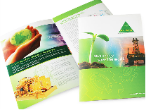 Product Catalogues and Brochures