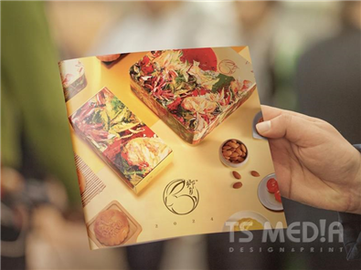 Marketing Collaterals - TS Media